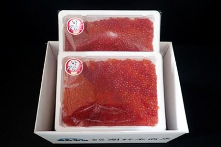 根室海鮮市場[直送]いくら醤油漬け(鱒卵)230g×2P(計460g) A-28194