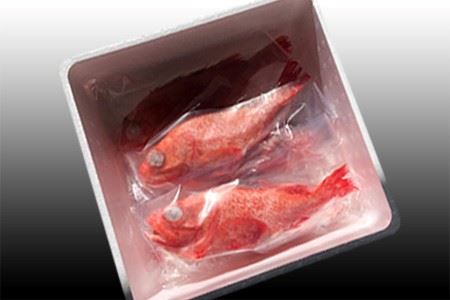 【北海道根室産】キチジ(キンキ・めんめ)×3～5尾(下処理済) C-30070