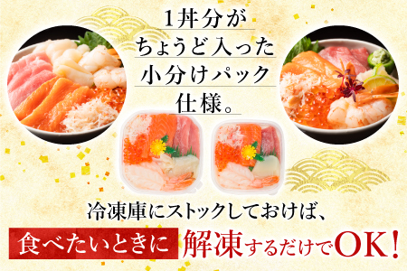 海鮮丼の具7種盛り×3P・6種盛り詰合せ×5P C-10002