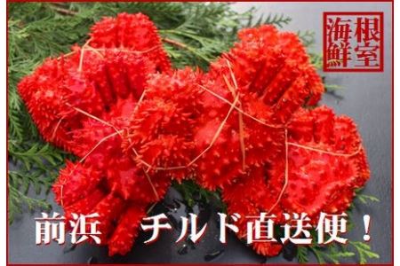 【北海道根室産】茹でたて花咲ガニ5~6尾(計1.6kg前後)(チルド便) A-57052