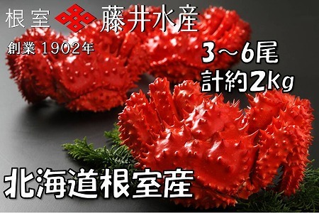 【北海道根室産】ボイル花咲かに5~9尾(計約3kg) B-42088