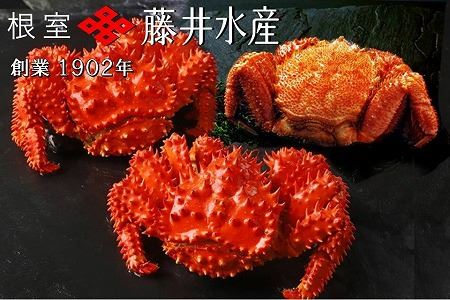 ボイル毛がに約500g×1尾、ボイル花咲かに2尾(計約800g) B-42091