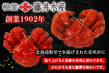 【北海道根室産】ボイル花咲かに4～7尾(計約2.4kg) C-42080