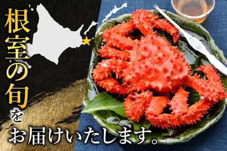 【北海道根室産】ボイル花咲かに4～7尾(計約2.4kg) C-42080