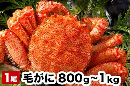 毛がに毛がに800g~1kg×1尾 B-48016
