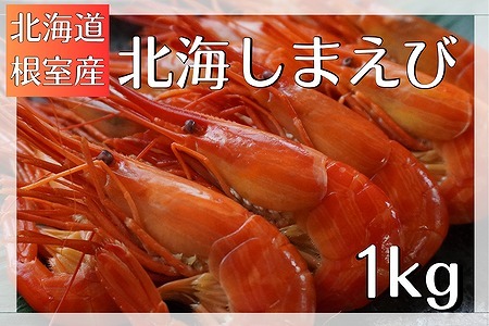 【北海道根室産】北海しまえび B-12001