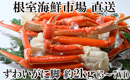 根室海鮮市場[直送]本ズワイガニ脚2kg(5～7肩) B-28070
