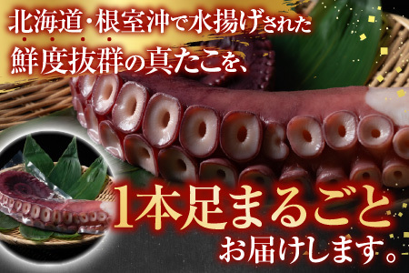 [12月21日決済分まで年内配送]【北海道根室産】真たこ1本足 1～1.3kg A-19004