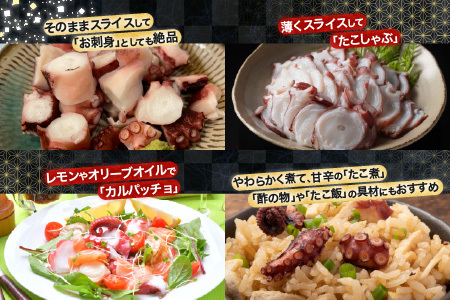 [12月21日決済分まで年内配送]【北海道根室産】真たこ1本足 1～1.3kg A-19004