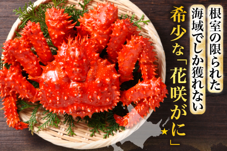 【12/31決済分まで1月中配送】 【北海道根室産】花咲がに600g前後×2尾 B-20001