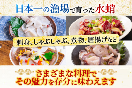 【12/31決済分まで1月中配送】 【北海道根室産】水たこ足2本、たこ頭1切 F-20004