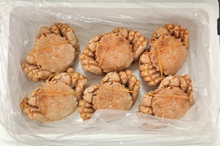 [12月10日決済分まで年内配送]冷凍ボイル毛蟹 360g前後×6尾 D-66016