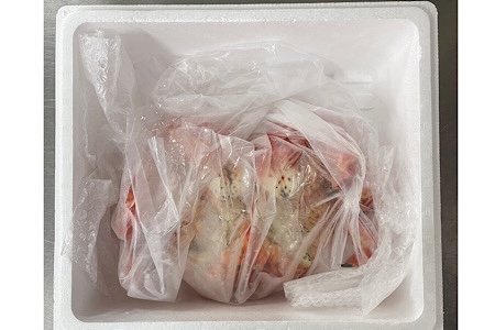 【12/31決済分まで1月中配送】 花咲ガニボイル冷凍1.5kg前後×1尾 D-89002