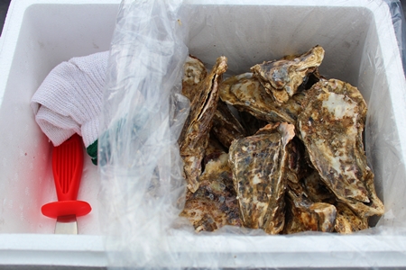 [12月21日決済分まで年内配送]【北海道根室産】殻付カキ150g以上×40個 D-57028