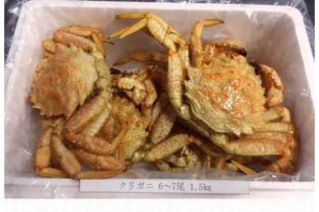 北海道根室産 クリガニ6 ７尾 計1 5kg A 北海道根室市 ふるさと納税サイト ふるなび