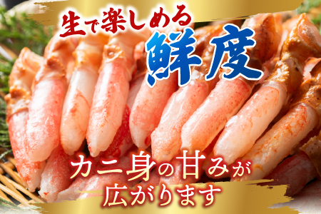 生食用本ズワイガニ爪下棒肉ポーション1.2kg B-14086