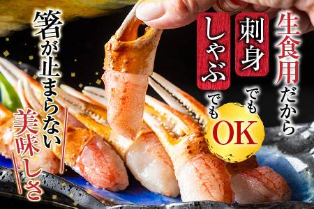 [12月10日決済分まで年内配送]生食用本ズワイガニ爪ポーション1.2kg B-11086