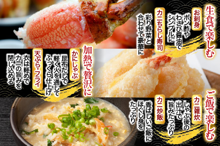 [12月10日決済分まで年内配送]生食用本ズワイガニ爪ポーション1.2kg B-11086