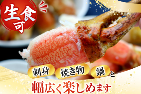 生食用本ズワイガニ爪ポーション500g(お刺身・かにしゃぶ・フライ等) A-14237