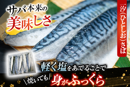 無添加天然サバフィーレ20枚 A-11080