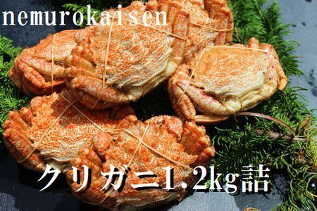 【北海道根室産】クリガニ200～250g×5～6尾(計1.2kg) A-57056
