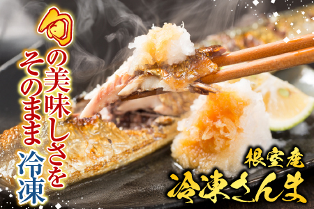 【北海道根室産】冷凍さんま5尾×4P(計20尾) A-76001