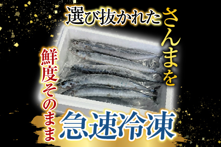 【北海道根室産】冷凍さんま5尾×4P(計20尾) A-76001