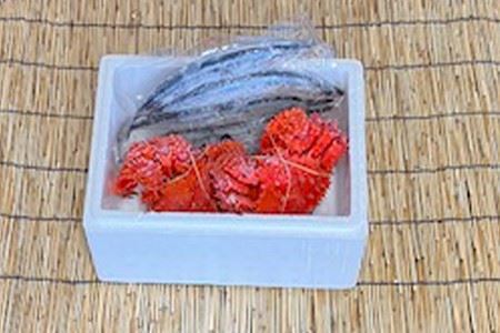 【12/31決済分まで1月中配送】 【北海道根室産】花咲かに2尾・冷凍さんま5尾 A-76002