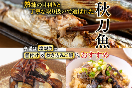 冷凍生さんま5尾×2P・ほたて貝柱200g×1Pセット A-76016