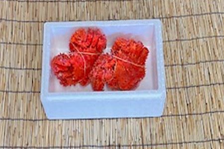 【北海道根室産】花咲かに500g～650g×2尾 ＜12月22日決済分まで年内配送＞ A-76029