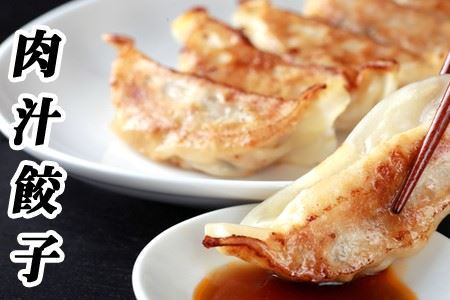 餃子25個×3P B-76026