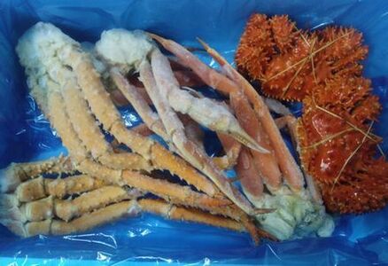 【12/31決済分まで1月中配送】 いばらがに・本ズワイガニ・花咲ガニの三種のカニセット(計3.0kg前後) E-57002