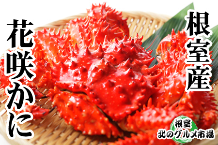 【北海道根室産】花咲かに300g前後～450g前後×4尾 ＜12月22日決済分まで年内配送＞ A-76031