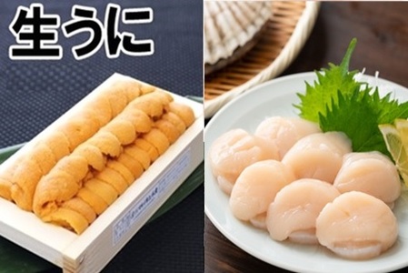 エゾバフンウニ100g×1折、お刺身ホタテ貝柱500g×1P D-71061