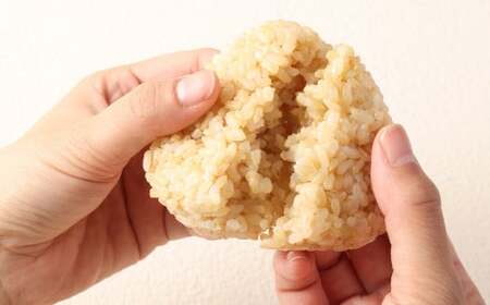【年6回定期便・偶数月のお届け】 きらほ 玄米 冷凍 おにぎり 合計16.2kg  (90g×30個)×6回