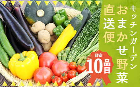キッチンガーデンおまかせ野菜直送便／農家 野菜 サラダ 産地直送 旬 季節野菜 いろいろ 詰め合わせ 国産 冷蔵