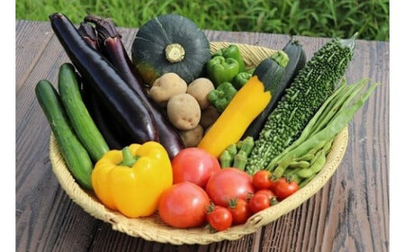 キッチンガーデンおまかせ野菜直送便／農家 野菜 サラダ 産地直送 旬 季節野菜 いろいろ 詰め合わせ 国産 冷蔵