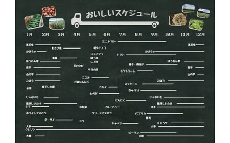 キッチンガーデンおまかせ野菜直送便／農家 野菜 サラダ 産地直送 旬 季節野菜 いろいろ 詰め合わせ 国産 冷蔵