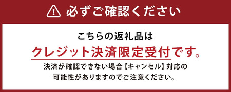 高村さんちのりんごジュース ～カシオペアの風～ 1L×6本入