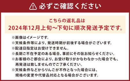 二戸産 カシオペア 冬恋はるか 約2.5kg【2024年12月上旬-下旬発送予定】／りんご リンゴ 林檎 フルーツ 果物 旬 お取り寄せ 冬恋ブランド 蜜入り