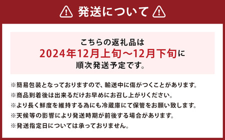 【訳あり】 サンふじ 約5kg 家庭用／わけあり りんご リンゴ フルーツ 果物 岩手 【2024年12月上旬発送開始】