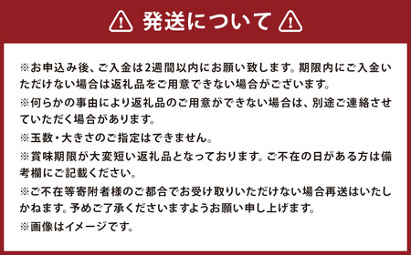 【訳あり】 サンふじ 約5kg 家庭用／わけあり りんご リンゴ フルーツ 果物 岩手 【2024年12月上旬発送開始】