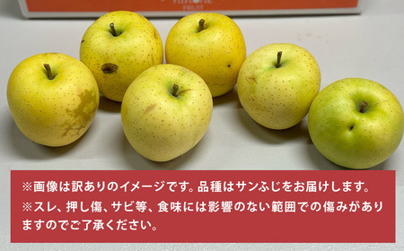 【訳あり】 サンふじ 約5kg 家庭用／わけあり りんご リンゴ フルーツ 果物 岩手 【2024年12月上旬発送開始】