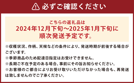 訳あり りんご （サンふじ） 約10kg／ リンゴ 林檎 フルーツ くだもの 果物 果実 わけあり お取り寄せ【2024年12月下旬より発送開始】