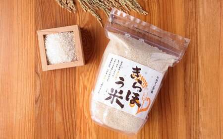 令和6年産 金田一う米「きらほ」 1.2kg×6袋 計7.2kg／お米 米 コメ 白米 ご飯 精米 お取り寄せ