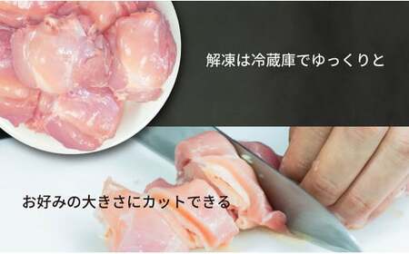 国産若鶏もも肉 約4kg／約2kg×2パック 国産 若鶏 鶏もも肉 鶏腿肉 お肉 肉 にく モモ肉 ももにく お取り寄せ ストック