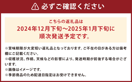 訳あり りんご（はるか） 約10kg ／りんご 林檎 果物 くだもの フルーツ 岩手県産 【2024年12月下旬より発送開始】