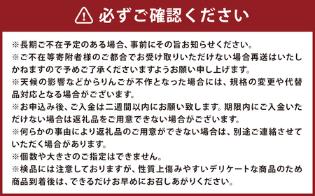 訳あり りんご（はるか） 約10kg ／りんご 林檎 果物 くだもの フルーツ 岩手県産 【2024年12月下旬より発送開始】