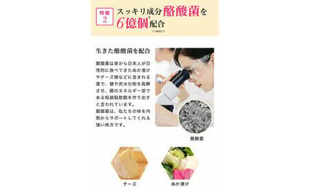 酪酸菌 乳酸菌 サプリメント ドッサリズムS  30カプセル(30日分) 6袋セット／ ラクトフェリン ビフィズス菌 オリゴ糖 サプリ 1日1カプセル 善玉菌 栄養機能食品 岩手県 二戸市