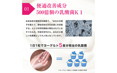 機能性表示食品 ドッサリズム乳酸菌 30粒（30日分）6袋セット／ サプリ サプリメント 1日1粒 便秘気味の方へ 便通改善 オリゴ糖 食物繊維 岩手県 二戸市